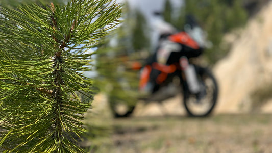 Spring in the mountains!